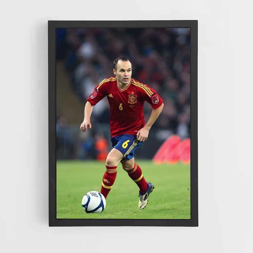 Poster Maestro de la Pelote (vue 2)